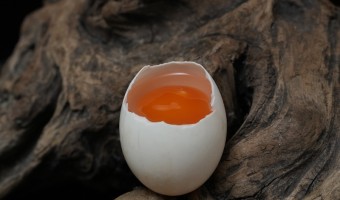新闻中心-辉新-咸鸭蛋的使用场景有哪些？