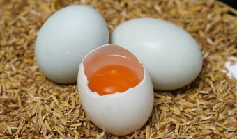 新闻中心-辉新-如何选择优质的咸鸭蛋厂家？
