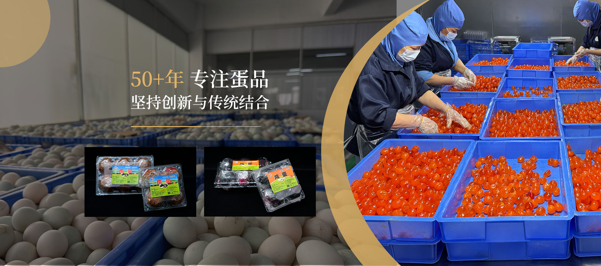 东莞市辉新蛋品有限公司