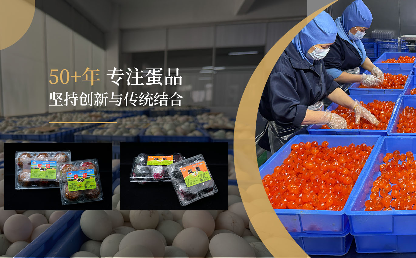 东莞市辉新蛋品有限公司