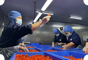 持续改进